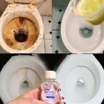 My mom taught me this trick to unshrink clothes in just 15 minutes with zero effort. Here’s how it works.