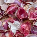 Unlock the Hidden Treasure: Don’t Discard Your Basil Flowers, They’re Gold When Used Like This